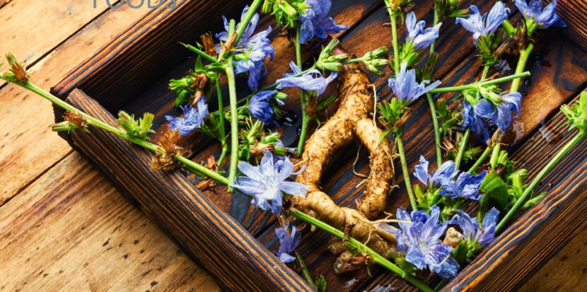 Icon Foods Decrease Sugar with Chicory Root Inulin