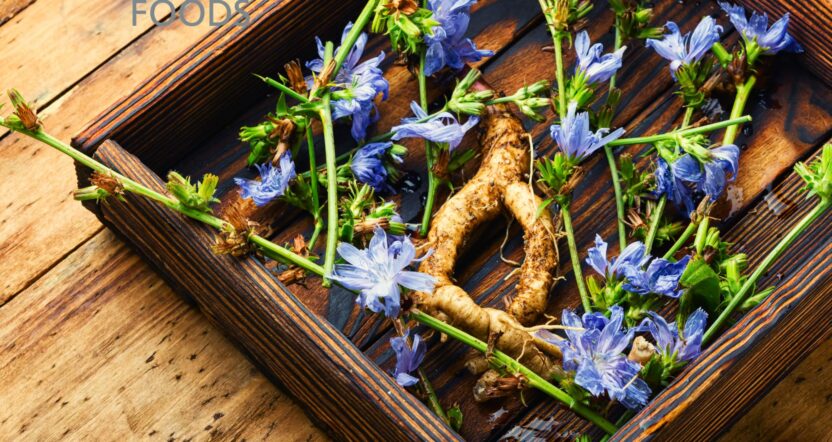 Icon Foods Decrease Sugar with Chicory Root Inulin