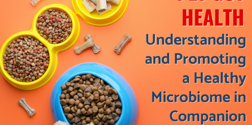 Icon Foods Pet Gut Health: Understanding and Promoting a Healthy Microbiome in Companion Animals
