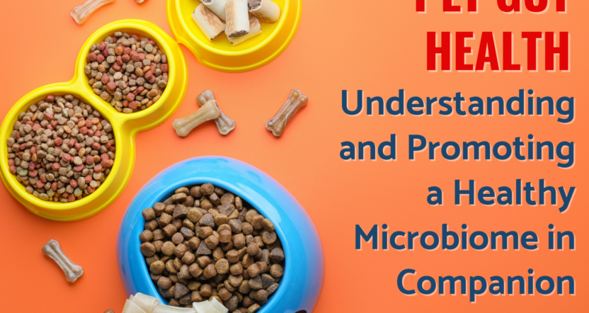 Icon Foods Pet Gut Health: Understanding and Promoting a Healthy Microbiome in Companion Animals