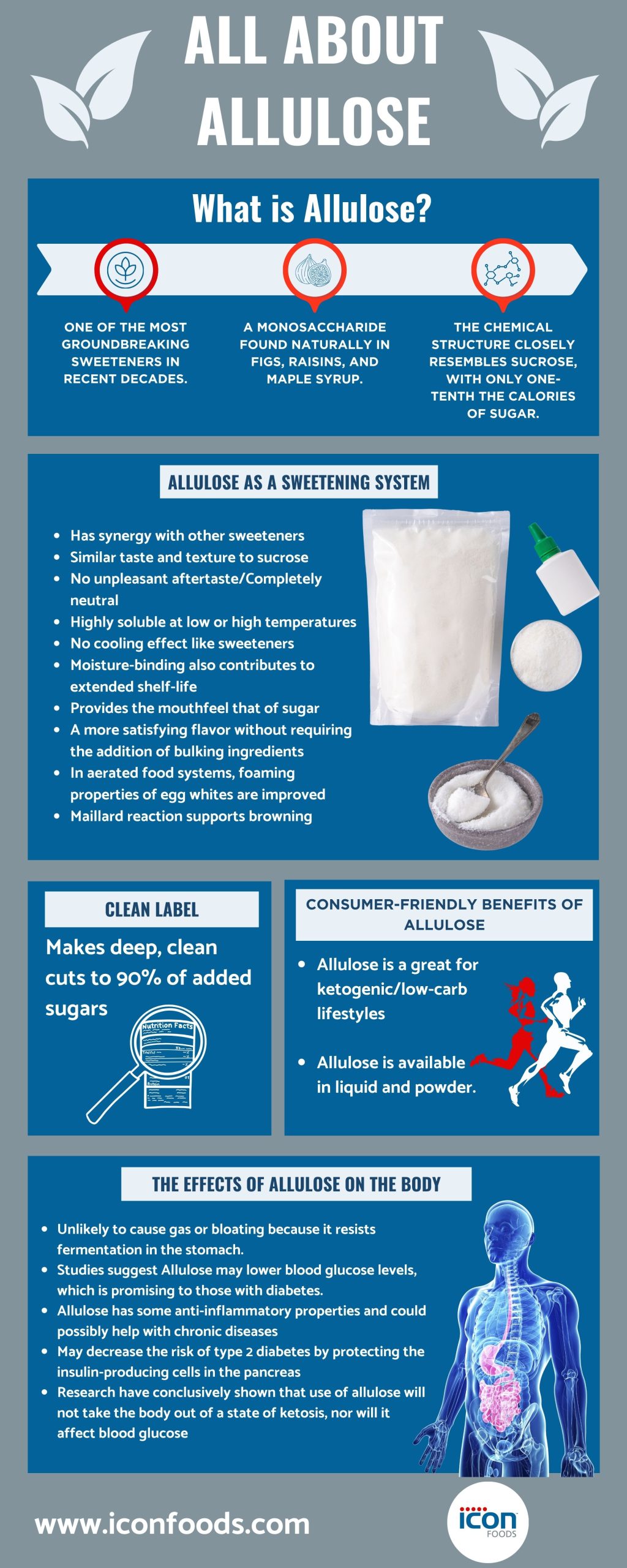 Everything you need to know about Allulose