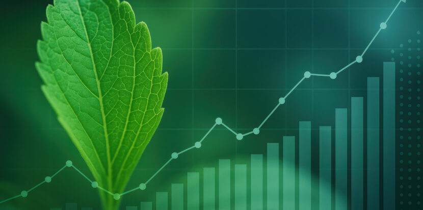 Market Intelligence Report Sweeteners Q3 2025