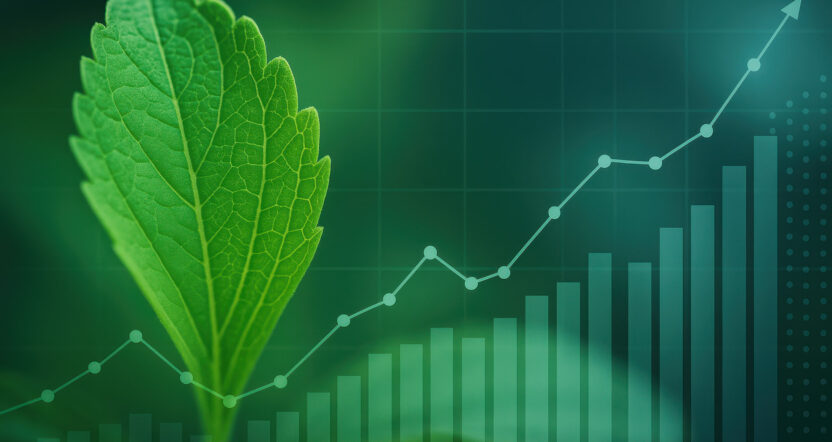 Market Intelligence Report Sweeteners Q3 2025