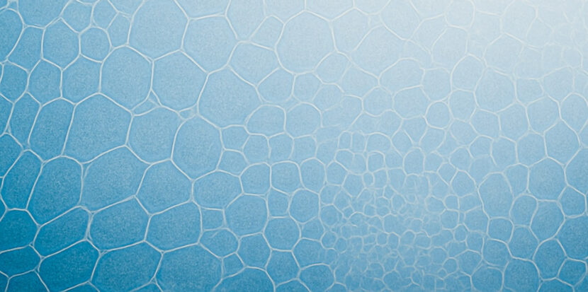 Icon Foods Microscopic view of plant cells