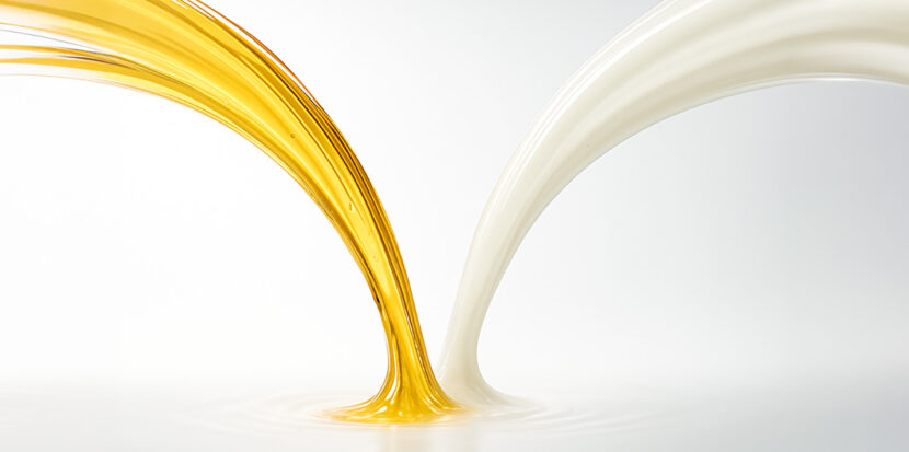 Corn Fiber and Soluble Tapioca Fibre