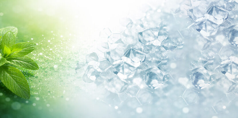 Stevia leaves gradient to sweetener crystals