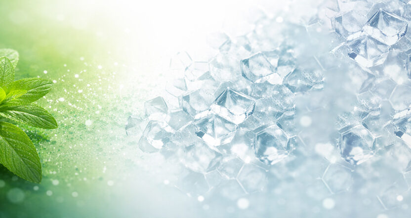 Stevia leaves gradient to sweetener crystals